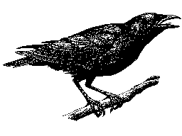 CROWBARN  STOREFRONT